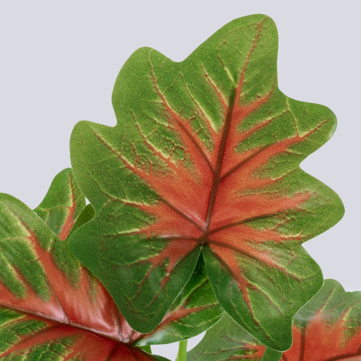 GloboStar® CALADIUM S-78271 Τεχνητό Φυτό Καλάδιο - Μπουκέτο Διακοσμητικών Φυτών - Κλαδιών με Φύλλωμα Πράσινο - Κόκκινο - Κίτρινο Υ28cm - ledmania.gr