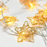 10LED ΛΑΜΠΑΚΙΑ ΜΠΑΤΑΡΙΑΣ METAL STAR ΧΡΥΣΟ 1.35M ΘΕΡΜΟ - ledmania.gr