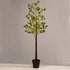 ^EUCALYPTUS LEAF TREE 210 WW LED ΛΑΜΠ. ΑΝΤΑΠΤ:4,5V IP44 ΥΨΟΣ 150cm ΓΛΑΣΤΡΑ 5m ΚΑΛ ^ - ledmania.gr