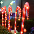 4 CANDY STAKES” 40 WW LED ΛΑΜΠΑΚΙΑ 8ΠΡΟΓΡΑΜ ΑΝΑΠΤ(4.5V) IP44 M1.5m*Φ2.5cm*Y60cm 0.5m ΠΡΑΣ ΚΑΛ ΤΡ - ledmania.gr