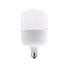 LED P129 E27 230V 39W 3000K 220° 3690Lm Ra80 IP65 - ledmania.gr