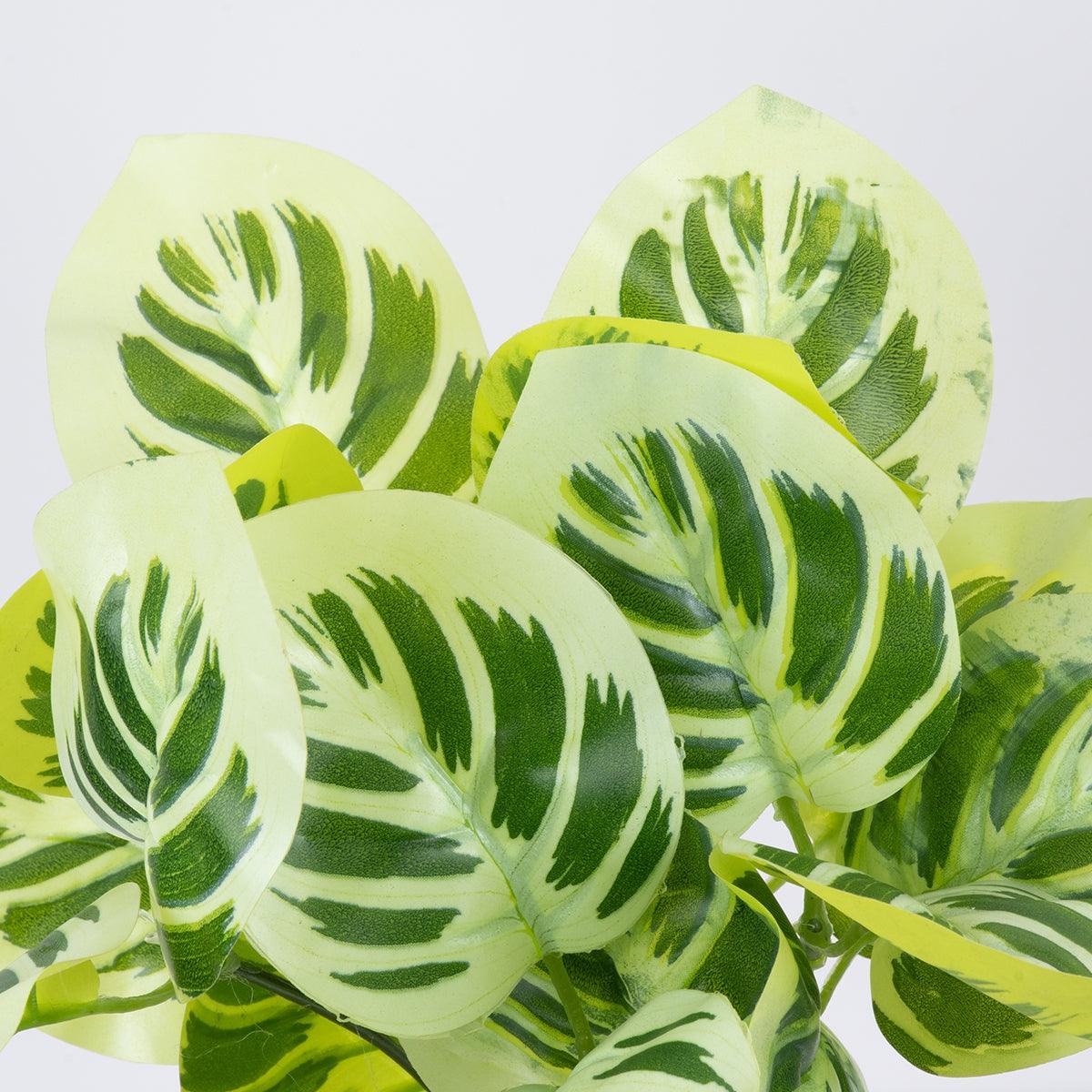 GloboStar® WHITE PEPEROMIA 78276 Τεχνητό Φυτό Πεπερόμια Λευκή - Μπουκέτο Διακοσμητικών Φυτών - Κλαδιών με Φύλλωμα Πράσινο - Λευκό Υ33cm - ledmania.gr