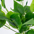 GloboStar® WATER PLANTAIN 78284 Τεχνητό Φυτό Άλισμα - Μπουκέτο Διακοσμητικών Φυτών - Κλαδιών με Φύλλωμα Πράσινο Υ30cm - ledmania.gr
