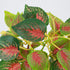 GloboStar® SWEDISH IVY 78270 Τεχνητό Φυτό Σουηδικός Κισσός - Μπουκέτο Διακοσμητικών Φυτών - Κλαδιών με Φύλλωμα Πράσινο - Κόκκινο Υ28cm - ledmania.gr