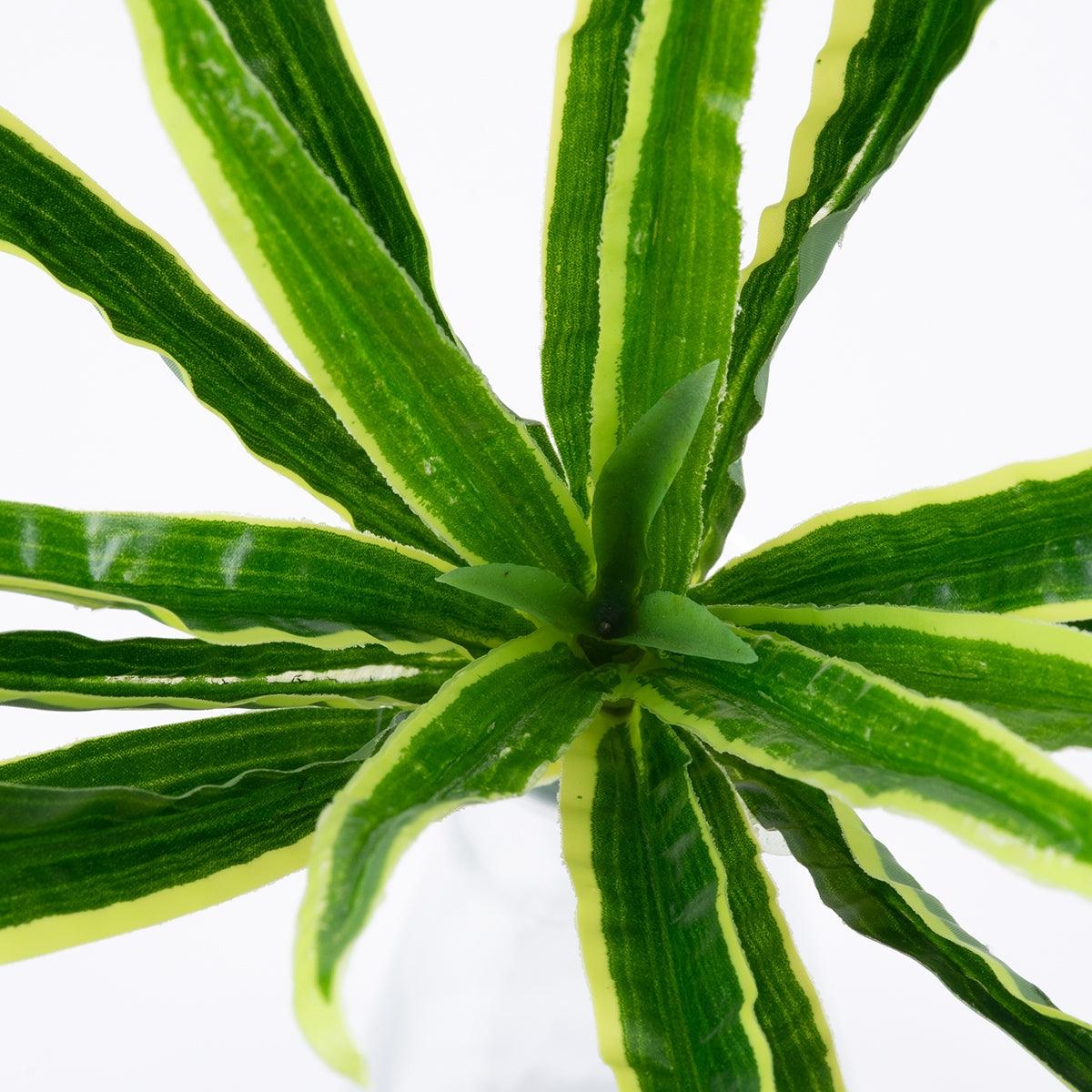 GloboStar® GREEN DRACAENA 78233 Τεχνητό Φυτό Δράκαινα Πράσινη - Μπουκέτο Διακοσμητικών Φυτών - Κλαδιών με Φύλλωμα Πράσινο Υ47cm - ledmania.gr