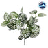 GloboStar® POLKA DOT PLANT 78259 Τεχνητό Φυτό Πόλκα - Μπουκέτο Διακοσμητικών Φυτών - Κλαδιών με Φύλλωμα Πράσινο - Λευκό Υ33cm - ledmania.gr
