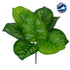 GloboStar® CANNA 78262 Τεχνητό Φυτό Κάννα - Μπουκέτο Διακοσμητικών Φυτών - Κλαδιών με Φύλλωμα Πράσινο Υ30cm - ledmania.gr