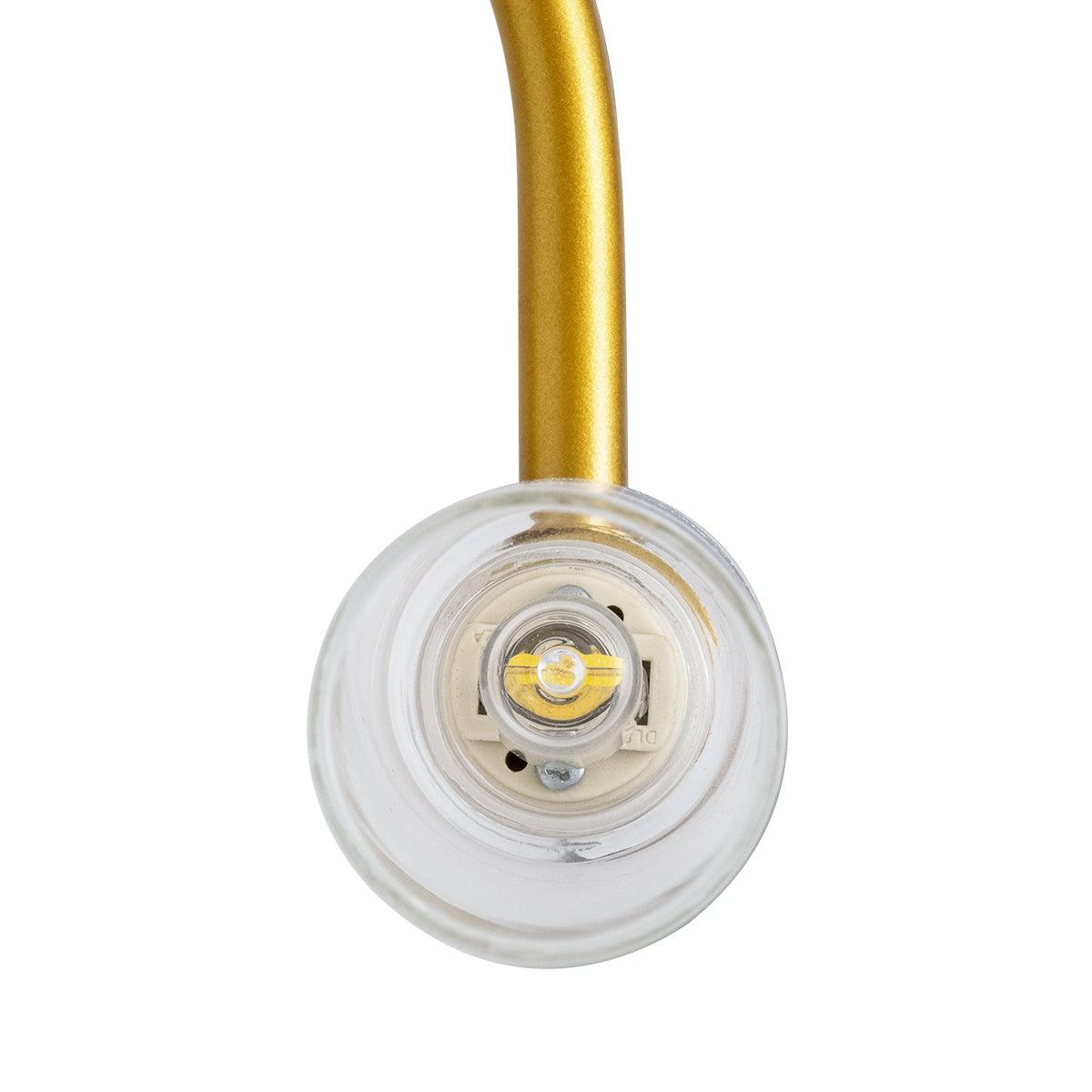 GloboStar® FLORA 60413 Μοντέρνο Φωτιστικό Τοίχου - Απλίκα Καθρέπτη Μπάνιου - Πίνακα 2 x G9 270° AC 220-240V IP44 Μ31 x Π13 x Υ12cm - Χρυσό - ledmania.gr