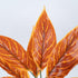 GloboStar® AGLAONEMA ORANGE 78265 Τεχνητό Φυτό Αγλαόνημα Πορτ. - Μπουκέτο Διακοσμητικών Φυτών - Κλαδιών με Φύλλωμα Πορτοκαλί Υ30cm - ledmania.gr