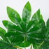 GloboStar® FATSIA 78283 Τεχνητό Φυτό Φάτσια - Μπουκέτο Διακοσμητικών Φυτών - Κλαδιών με Φύλλωμα Πράσινο Υ36cm - ledmania.gr