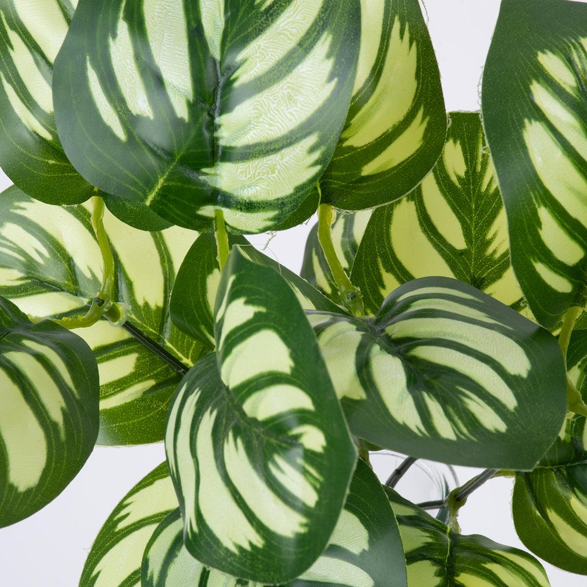 GloboStar® GREEN PEPEROMIA 78286 Τεχνητό Φυτό Πεπερόμια Πράσινη - Μπουκέτο Διακοσμητικών Φυτών - Κλαδιών με Φύλλωμα Πράσινο - Λευκό Υ33cm - ledmania.gr