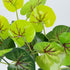 GloboStar® CENTELLA 78267 Τεχνητό Φυτό Σεντέλα - Μπουκέτο Διακοσμητικών Φυτών - Κλαδιών με Φύλλωμα Πράσινο Υ33cm - ledmania.gr