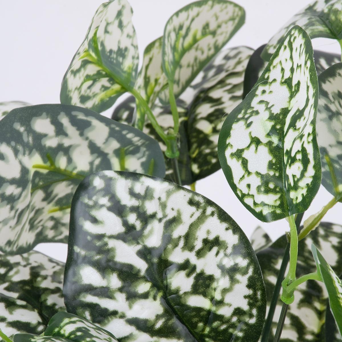 GloboStar® POLKA DOT PLANT 78259 Τεχνητό Φυτό Πόλκα - Μπουκέτο Διακοσμητικών Φυτών - Κλαδιών με Φύλλωμα Πράσινο - Λευκό Υ33cm - ledmania.gr