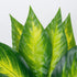 GloboStar® PEACE LILY 78277 Τεχνητό Φυτό Σπαθίφυλλο - Μπουκέτο Διακοσμητικών Φυτών - Κλαδιών με Φύλλωμα Πράσινο - Κίτρινο Υ33cm - ledmania.gr