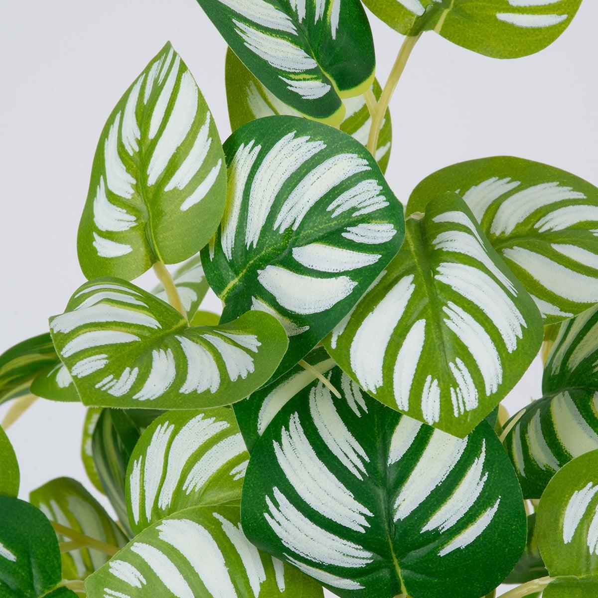 GloboStar® PEPEROMIA L.GREEN 78220 Τεχνητό Φυτό Πεπερόμια Αν.Πρ. - Μπουκέτο Διακοσμητικών Φυτών - Κλαδιών με Φύλλωμα Πράσινο - Κίτρινο - Λευκό Υ28cm - ledmania.gr