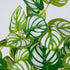 GloboStar® PEPEROMIA L.GREEN 78220 Τεχνητό Φυτό Πεπερόμια Αν.Πρ. - Μπουκέτο Διακοσμητικών Φυτών - Κλαδιών με Φύλλωμα Πράσινο - Κίτρινο - Λευκό Υ28cm - ledmania.gr
