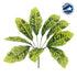 GloboStar® GREEN CROTON 78226 Τεχνητό Φυτό Κροτώνας Πράσινος - Μπουκέτο Διακοσμητικών Φυτών - Κλαδιών με Φύλλωμα Πράσινο Υ44cm - ledmania.gr