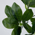 GloboStar® SCHEFFLERA 78222 Τεχνητό Φυτό Σεφλέρα - Μπουκέτο Διακοσμητικών Φυτών - Κλαδιών με Φύλλωμα Πράσινο Υ30cm - ledmania.gr