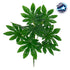GloboStar® FATSIA 78283 Τεχνητό Φυτό Φάτσια - Μπουκέτο Διακοσμητικών Φυτών - Κλαδιών με Φύλλωμα Πράσινο Υ36cm - ledmania.gr